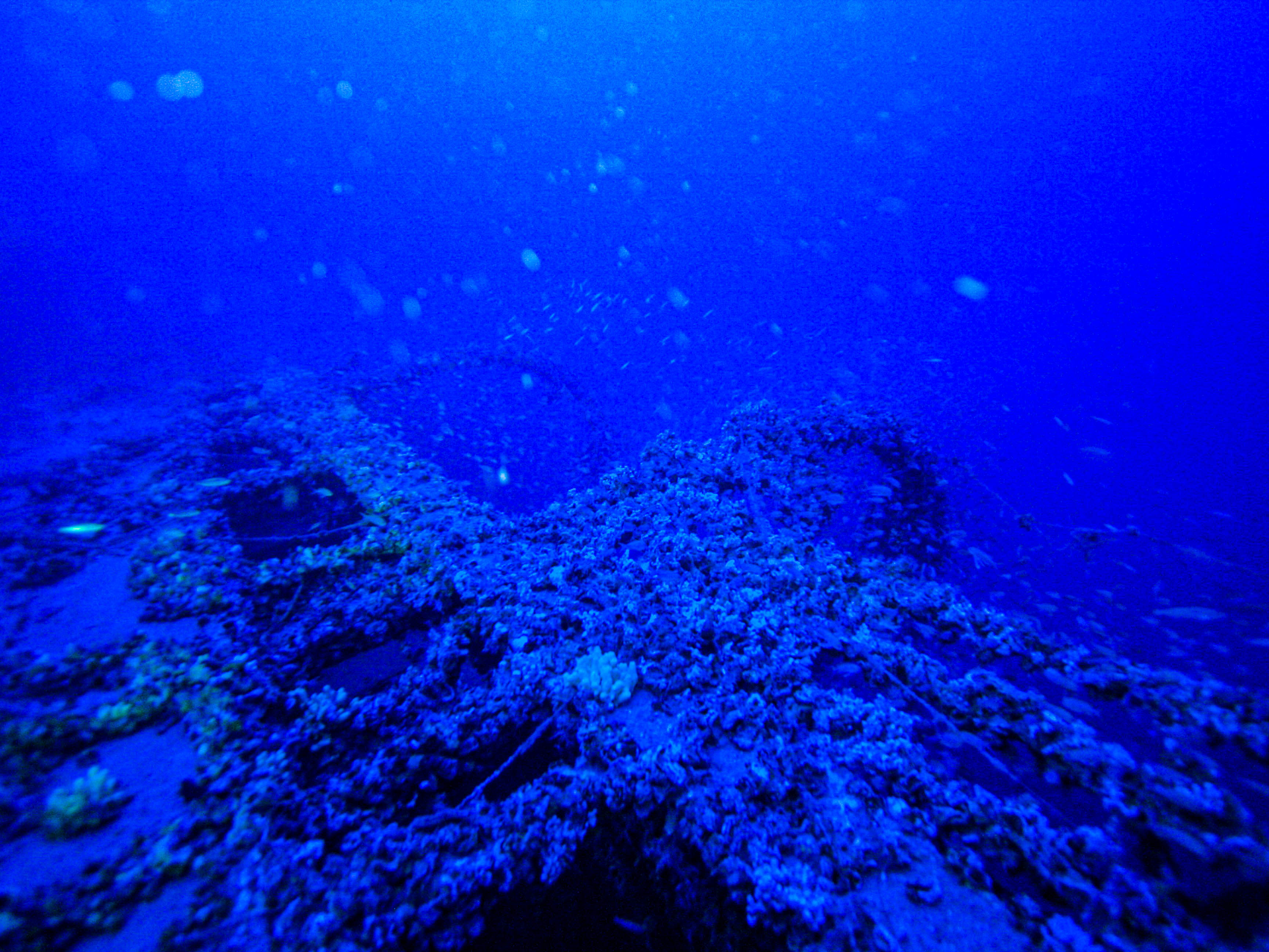 Relitto TIRPITZ